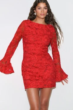 Embroidery mini dress