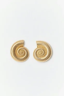 Sea shell earrings